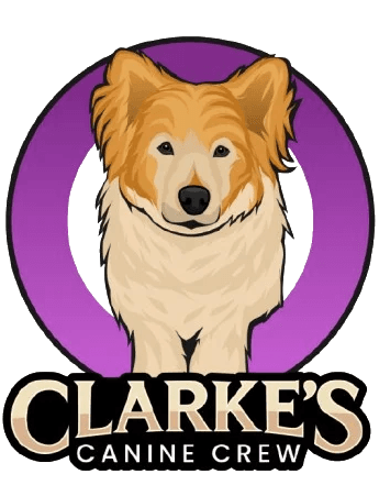 Clarke's Canine Crew