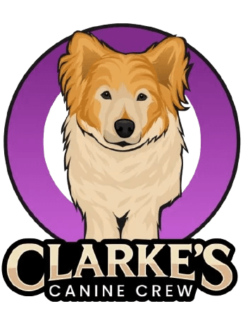 Clarke's Canine Crew logo